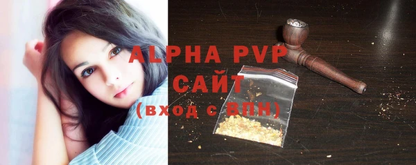 прущие грибы Наволоки
