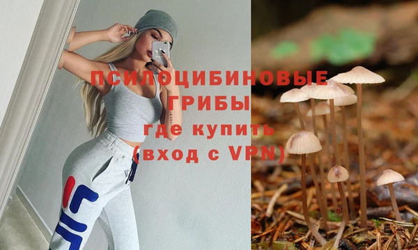гидропоника Алексеевка