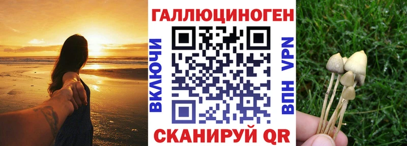 Псилоцибиновые грибы мицелий Алупка